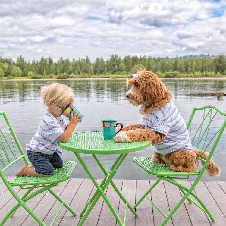 Un bambino di 3 anni forma un legame adorabile con il cane da salvataggio della sua famiglia adottiva