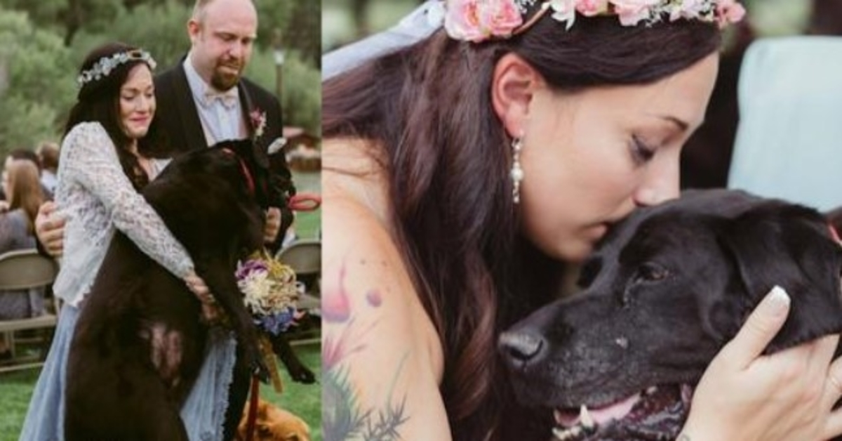 Il cane morente della sposa è stato portato lungo la navata e non c’era occhio secco