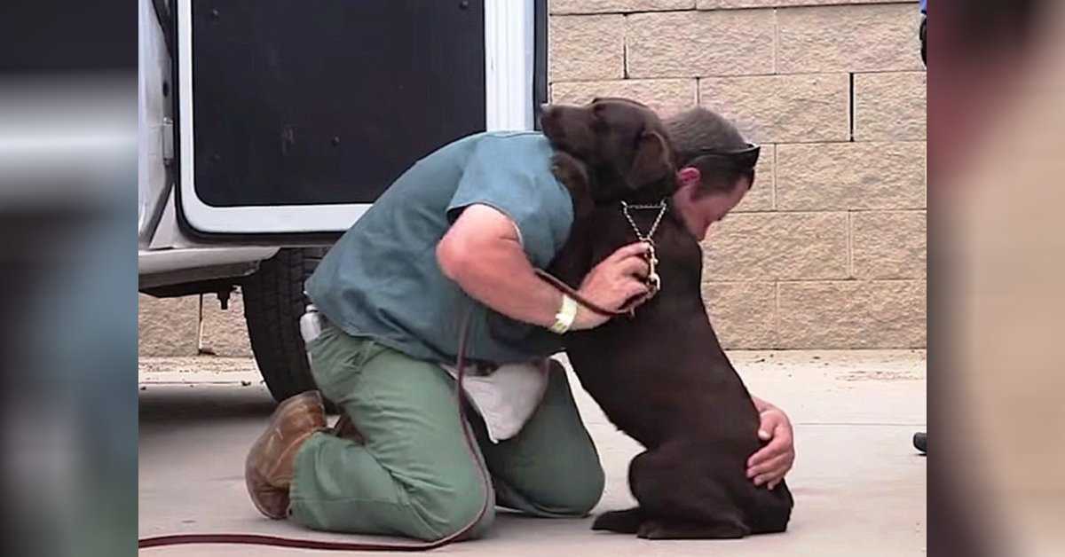 Il cane è stato preso per essere soppresso, ma un detenuto l’ha abbracciata forte