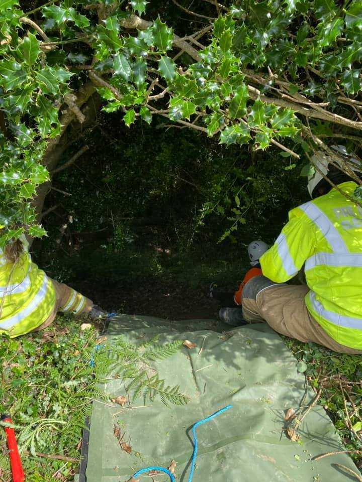 Il miagolio di un gatto porta la polizia alla scomparsa di una donna di 83 anni caduta in un burrone