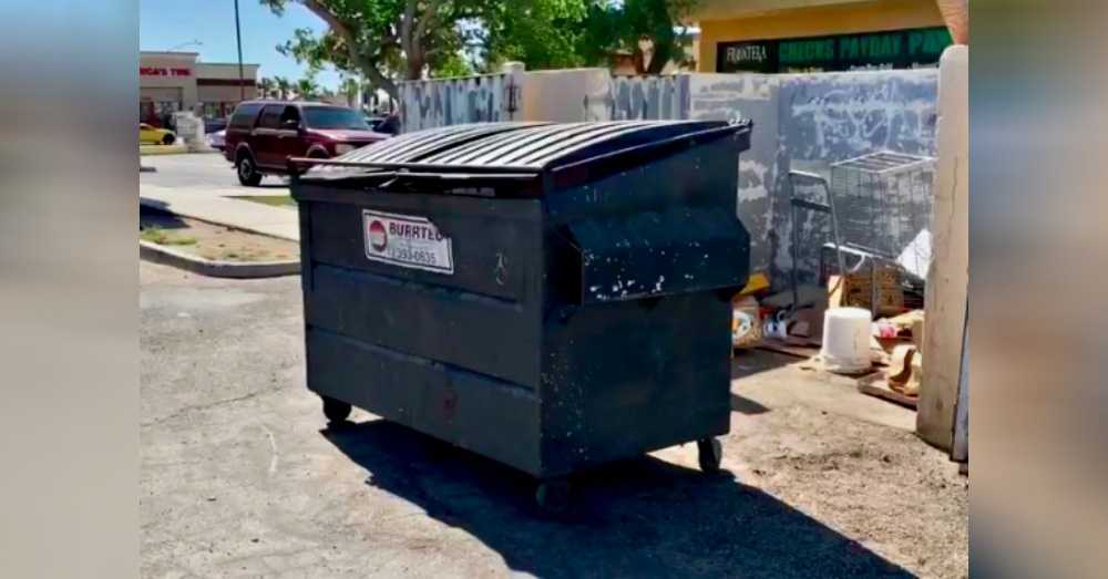 Cucciolo gravemente ustionato trovato nella spazzatura dopo che un passante ha sentito le sue grida