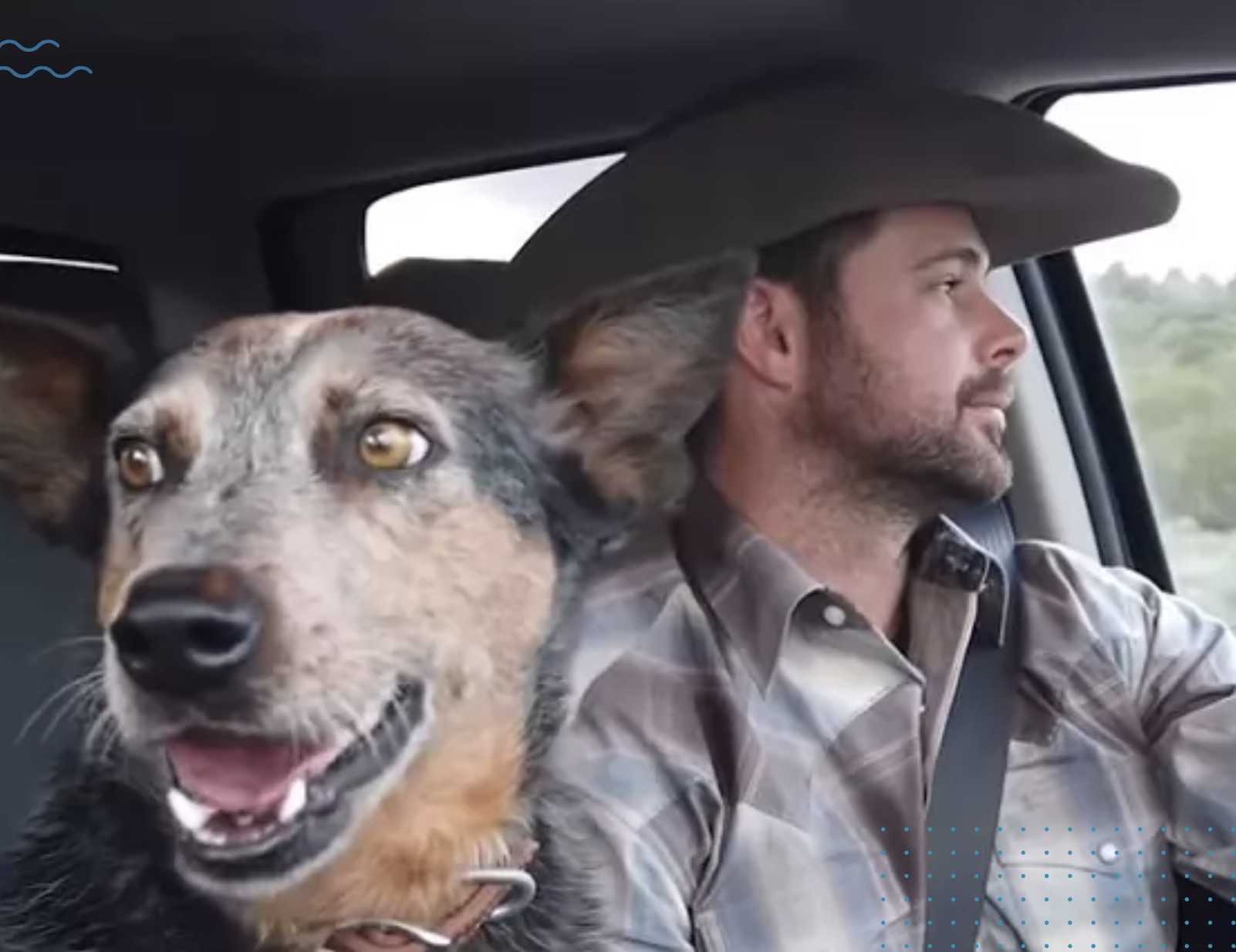 La cagnolina canta un dolce duetto con il cowboy dopo che è iniziata la sua canzone preferita